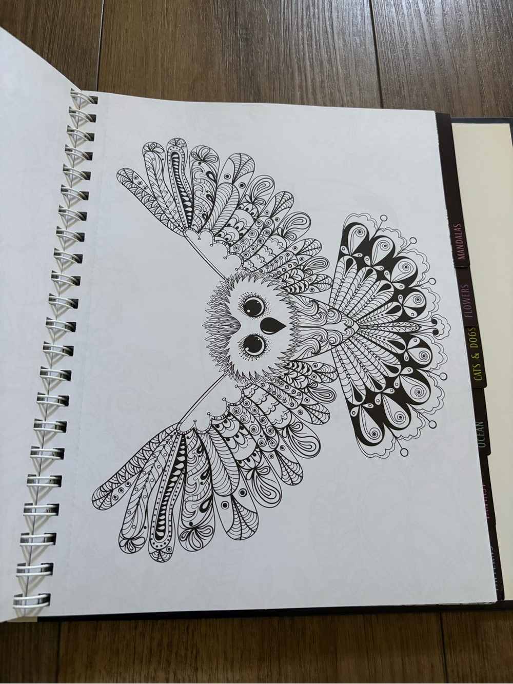 Coloring book - Picture 3 of 4